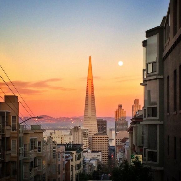 Meet your Posher, Stephanie - Picture 1 of 1